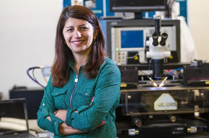 تخصیص گرنت با نام مژگان دانشمند در سازمان علمی جهانی IEEE